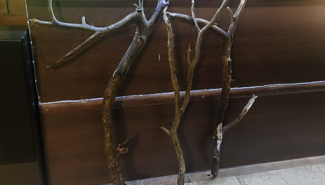 Готовый бизнес - GrandActive