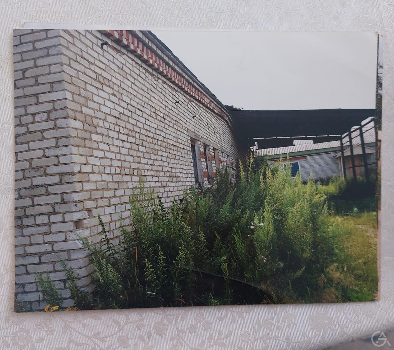 Инвестиции в майнинг ферму - GrandActive