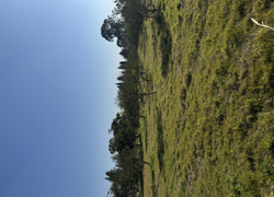 Отель в Абхазии  - GrandActive