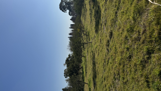 Отель в Абхазии  - GrandActive