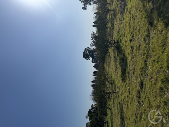 Отель в Абхазии  - GrandActive