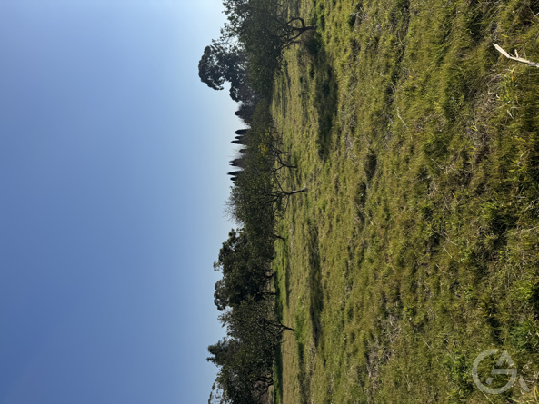 Отель в Абхазии  - GrandActive