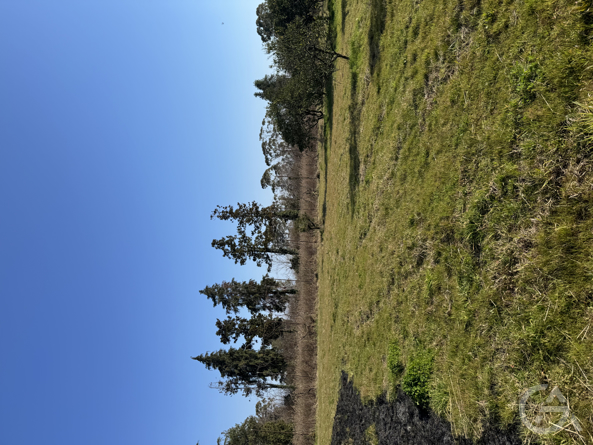 Отель в Абхазии  - GrandActive