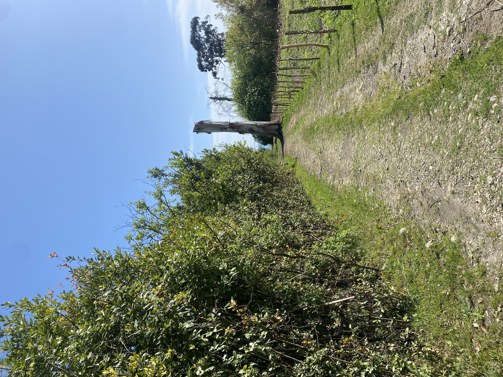 Отель в Абхазии  - GrandActive