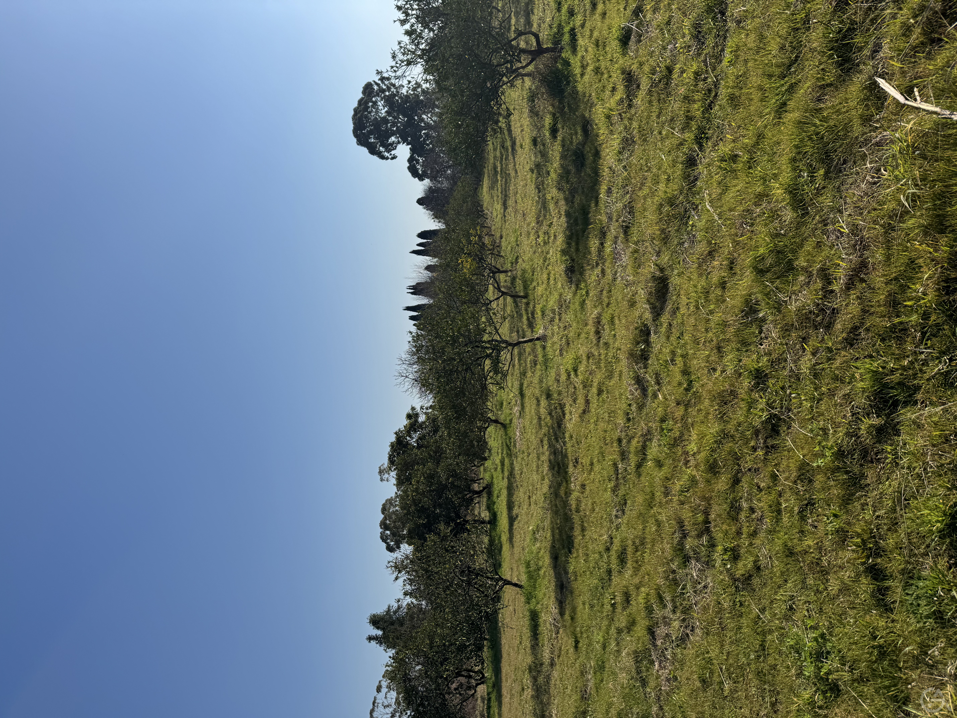 Отель в Абхазии  - GrandActive