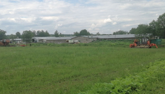Продам ферму - GrandActive