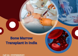 Bone Marrow Transplant Cost India - GrandActive