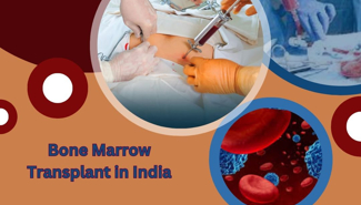 Bone Marrow Transplant Cost India - GrandActive