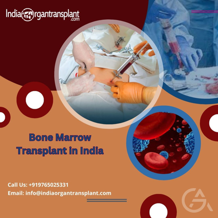 Bone Marrow Transplant Cost India - GrandActive