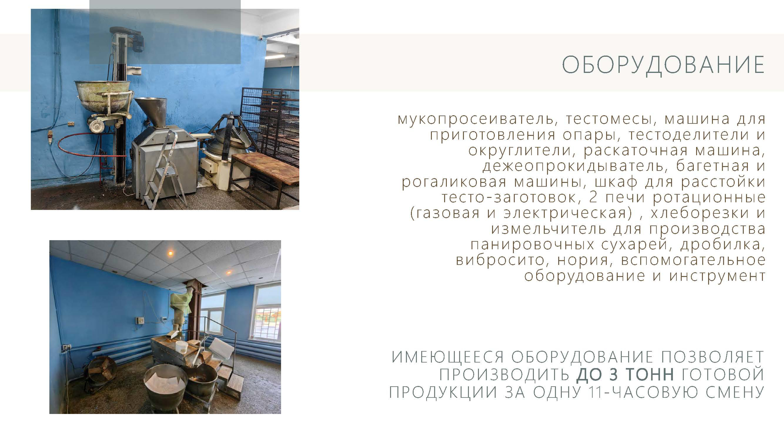 Панировочные сухари+хлебобулочные изделия (недвижимость, оборудование) - GrandActive