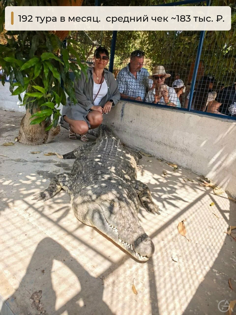 Готовый бизнес: турагентство, 15+ лет - GrandActive